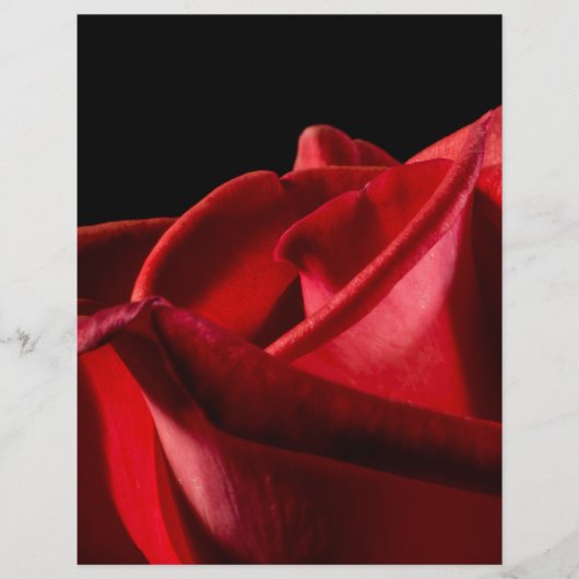 Parkiet Flyer (Voorkant)