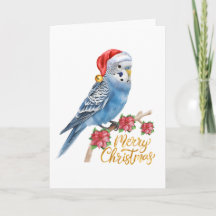 Parkiet Kerstkaart