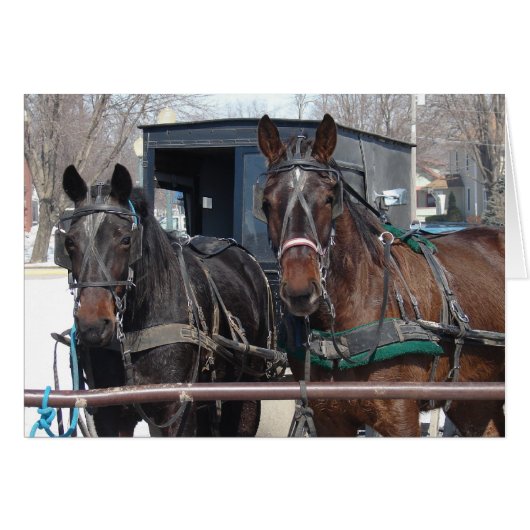 Parking pour chevaux (Devant horizontal)