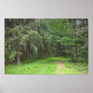Parklandschapsposter Poster