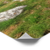 Parknabinna Wedge Tomb Poster (Hoek)