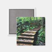 parktrap van maquoketa groves magneet (Voorkant / Achterkant)