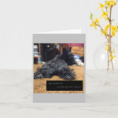 Parlez à la carte à voile (Fleur jaune)