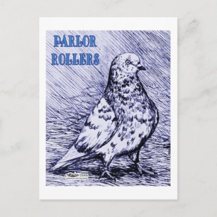 Parlor Roller Pigeon Briefkaart