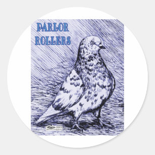 Parlor Roller Pigeon Ronde Sticker