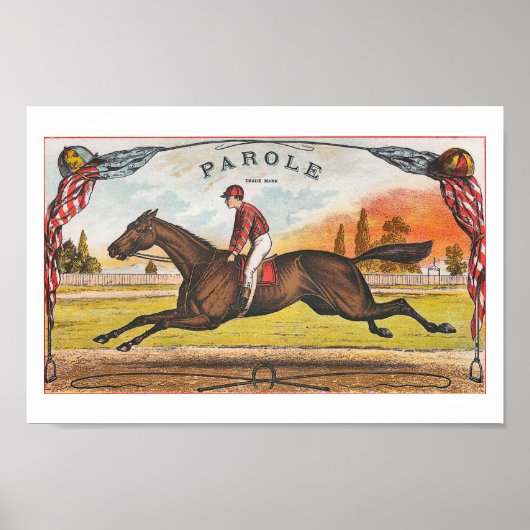 Parole -Amerikaans paard Poster (Voorkant)