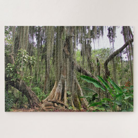 Parque Gallineral of San Gil Jig Saw Puzzle (Horizontal)