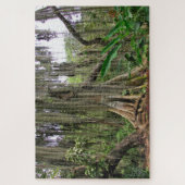 Parque Gallineral of San Gil Jig Saw Puzzle (Vertical)