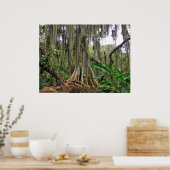 Parque Gallineral of San Gil Poster (Keuken)