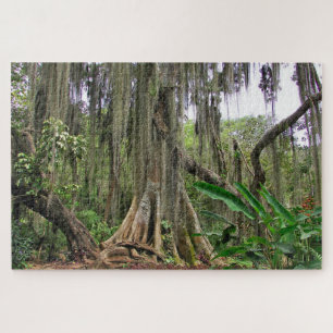 Parque Gallineral van San Gil Jig Saw Puzzel Legpuzzel