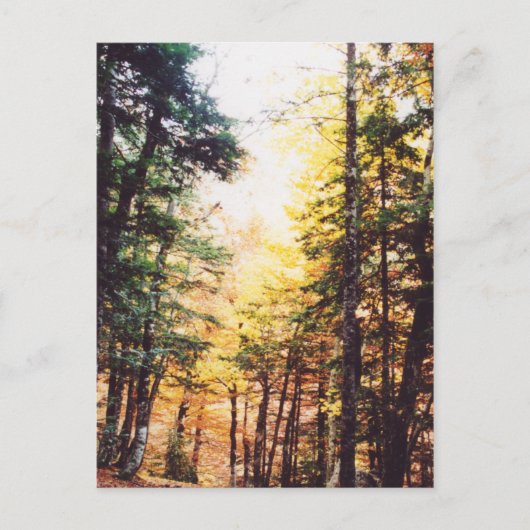 Parque Nacional Ordesa Briefkaart (Voorkant)