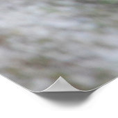 Parque Natural del Monasterio - Fall Leaves Poster (Hoek)