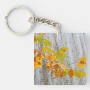 Parque Natural del Monasterio - Fall Leaves Sleutelhanger