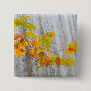 Parque Natural del Monasterio - Fall Leaves Vierkante Button 5,1 Cm