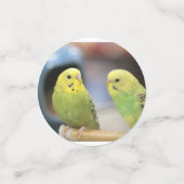 Parrakeets Confetti (Kleine voorkant)