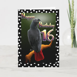 Parrot African Gray bird polka stip 16 Birthday Kaart