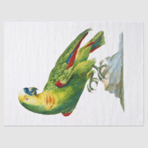 Parrot Bird  Art Tissuepapier