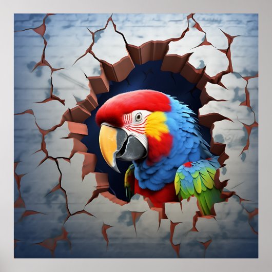 Parrot Bird Bref Out Imprimer Poster Artwork (Devant)
