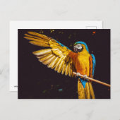 Parrot Briefkaart (Voorkant / Achterkant)