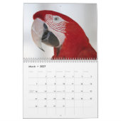 Parrot Calendar Kalender (Mar 2027)