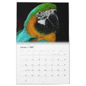 Parrot Calendar Kalender (Jan 2027)