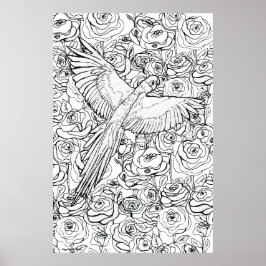 Parrot Clarity Poster