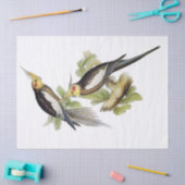 Parrot Cockatiel Art Tissuepapier (Craft)