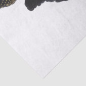 Parrot Cockatkato Bird  Tissuepapier (Detail)