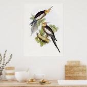 Parrot Cockatoo Cockatiel Art Poster (Keuken)