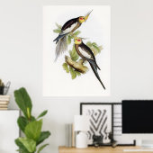 Parrot Cockatoo Cockatiel Art Poster (Thuiskantoor)