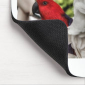 Parrot en Cockato Muismat (Hoek)