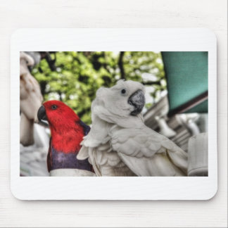 Parrot en Cockato Muismat