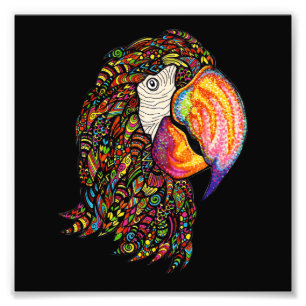 Parrot Foto Afdruk