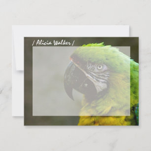 Parrot-foto's - Aangepaste platte notitiekaarten Notitiekaartje