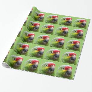 Parrot Gift Wrap Cadeaupapier