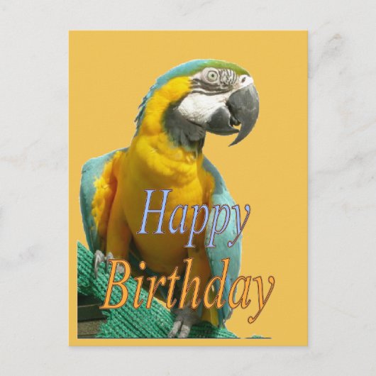 Parrot Happy Birthday  Briefkaart (Voorkant)