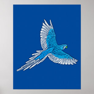 Parrot in de vlucht, kobalt Blue en White Poster
