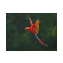 Parrot in vlucht