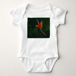 Parrot in vlucht romper