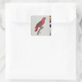 Parrot: Lory of Collared Vierkante Sticker (Tas)