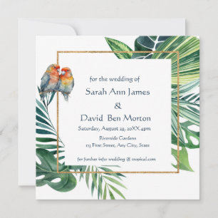 Parrot Lovebird Tropische Natuur Save the Date