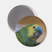 Parrot Magnet Magneet (Voorkant / Achterkant)