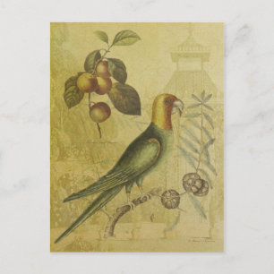 Parrot met Plums Briefkaart