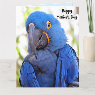 Parrot Moederdag gevouwen groot Wenskaart Kaart