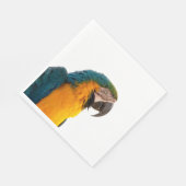 Parrot Notes Servet (Hoek)