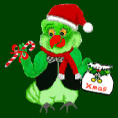 Parrot Nutcracker Christmas Card Kaart