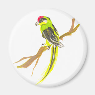 Parrot op een tak. Waterverf schilderen. Magneet