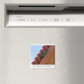 Parrot Pair Magneet (Insitu (Vaatwasser))