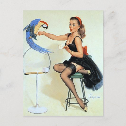 Parrot  Pin Up Briefkaart (Voorkant)