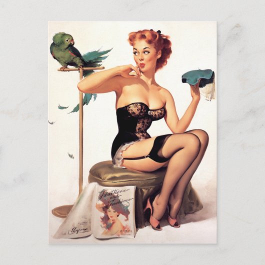 Parrot Pin Up Briefkaart (Voorkant)